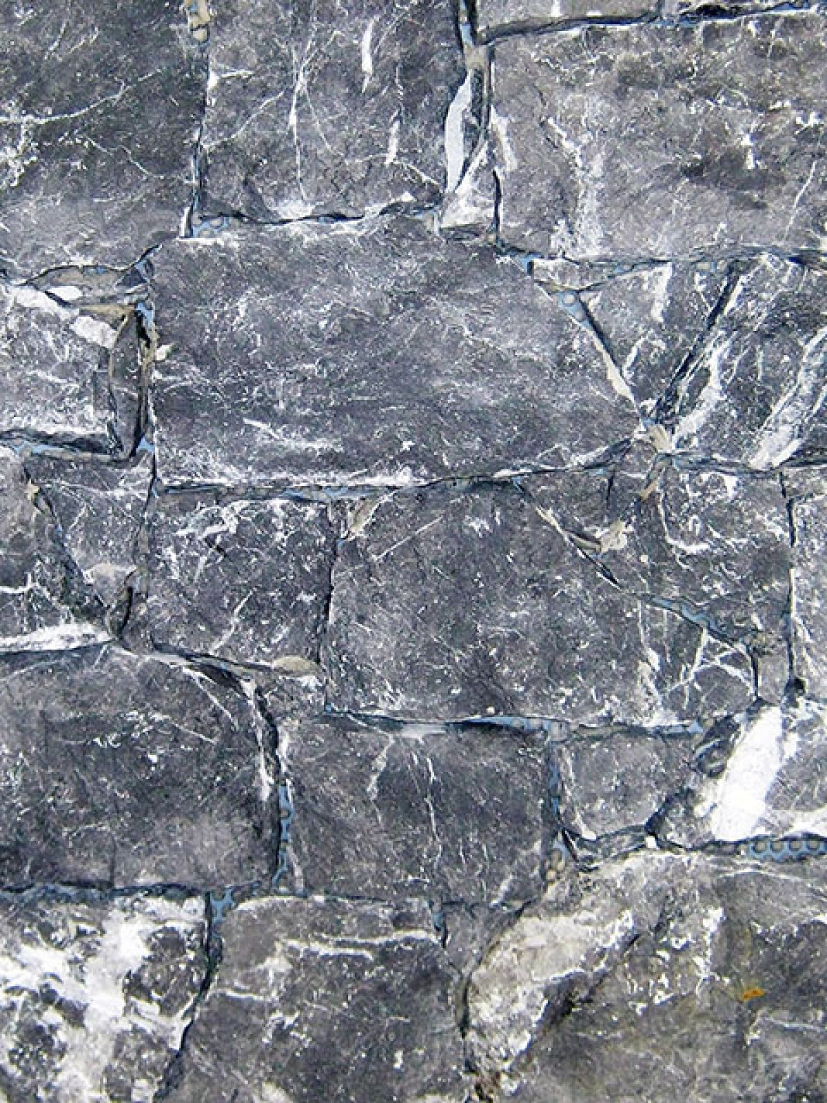 Placage Grigio Carnico